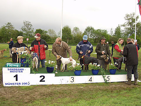 On the podium